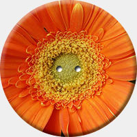 ARANCIO 001 R