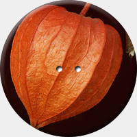 ARANCIO 003 R