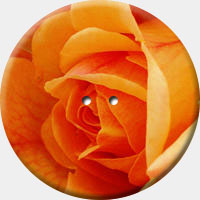 ARANCIO 009 R