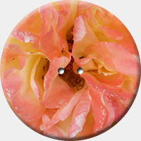 ARANCIO 013 R