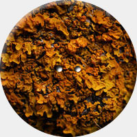 ARANCIO 014 R